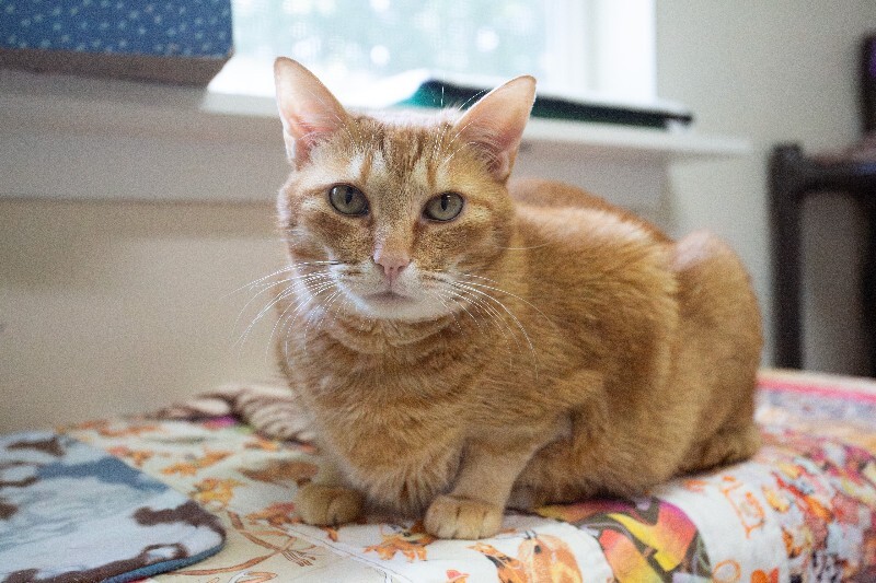 Photo of Tigger